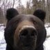 sooooooooooooooooooooooo (@maazasofia18346) Twitter profile photo sooooooooooooooooooooooo (@maazasofia18346) Twitter profile photo