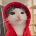 Seez (@seezismid) Twitter profile photo Seez (@seezismid) Twitter profile photo