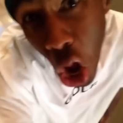 tylersnakefight's profile picture. main @faeiaeia
shoutout @realmayojar for giving me the gimmick
shedtwt dni