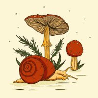 Mushrooms_DMT_Vapes_UK. (@buds771838) 's Twitter Profile