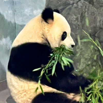 eternal11summer's profile picture. *views my own* retweets ≠ endorsement