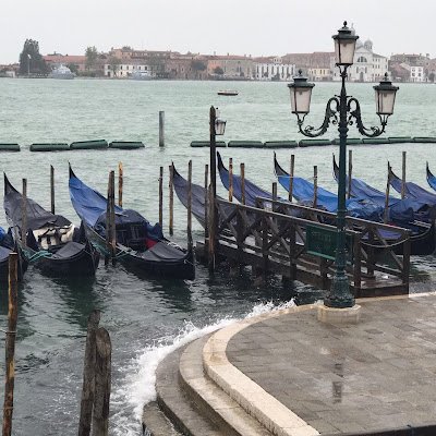 amri_zena's profile picture. 