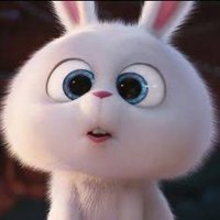 サクラ🐰 (@mga__fr) 's Twitter Profile