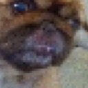 yossi levi - @yossi_levi1 - Twitter