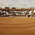 Toros en Olivenza (@torosenolivenza) Twitter profile photo