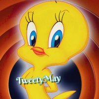 𝒯𝓌ℯℯ𝓉𝓎ℳ𝒶𝓎 (@mayratweety) 's Twitter Profile