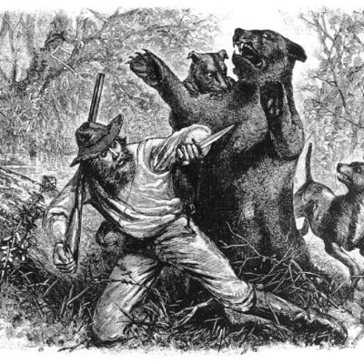 It was just a bear mum who wanted to protect her baby, but DiCaprio had to show up.