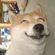 itswrongbbb (@itswrongb) 's Twitter Profile