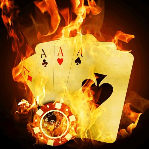 AceScaife9's profile picture. 