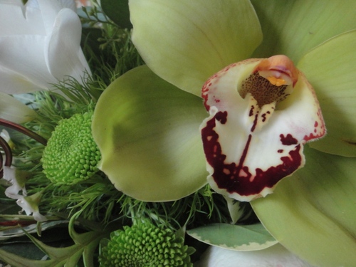 funkyychris's profile picture. 