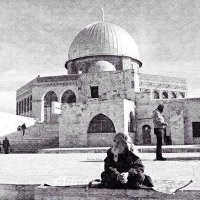 مُتَجَلِّدٌ (@mutajallid) 's Twitter Profile