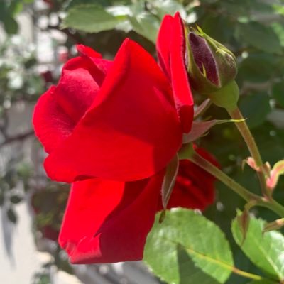 yuukoku_tokyo13's profile picture. 東京13区は、足立区の東側です。 ①独立自尊 ②衰退から成長へ ③命を守る 日本を愛するみんなの力を結集して、あたたかく明るい日本を繋いでいきましょう！