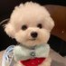 Alexa (@alexa2512043) Twitter profile photo Alexa (@alexa2512043) Twitter profile photo