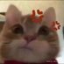 Jamie :3 (@miaowmrrp) Twitter profile photo Jamie :3 (@miaowmrrp) Twitter profile photo