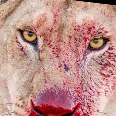 Sibusis95871553's profile picture. 