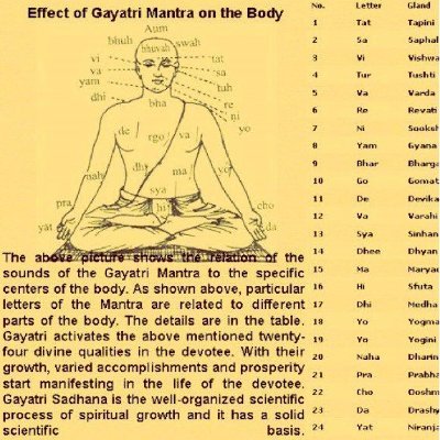 Chandanks's profile picture. Rational investor