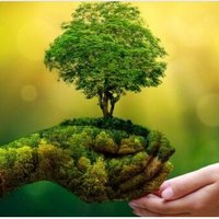 Hilary PatersonJones🍃💚🍃 #LocalParkCommunities (@twittyhilster) 's Twitter Profile