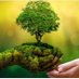 Hilary PatersonJones🍃💚🍃 #LocalParkCommunities (@twittyhilster) Twitter profile photo Hilary PatersonJones🍃💚🍃 #LocalParkCommunities (@twittyhilster) Twitter profile photo