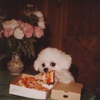 Magda Cottet (@cottetmagda) 's Twitter Profile