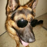 Skippy (@3rdsuture) 's Twitter Profile