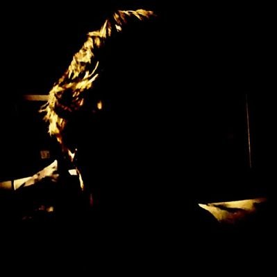 YuhMomUhHoe2's profile picture. Out Here just trying Too Function|🖕😆|Random Gibberish|Take'm to Church Andy|Red White and Wasted|Real thinker|₩♧