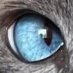 grumpy nerd (@grumpy___nerd) Twitter profile photo grumpy nerd (@grumpy___nerd) Twitter profile photo