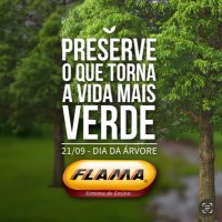 Colégio Flama (@colegioflama) 's Twitter Profile