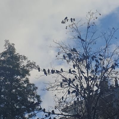 Meryemc72944514's profile picture. ya olduğun gibi görün ya da göründüğün gibi ol.