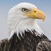 Upole Salama (@salamaupole) Twitter profile photo Upole Salama (@salamaupole) Twitter profile photo