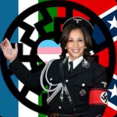 kikeslayer617's profile picture. if you ever feel safe, please remember that I’m out there