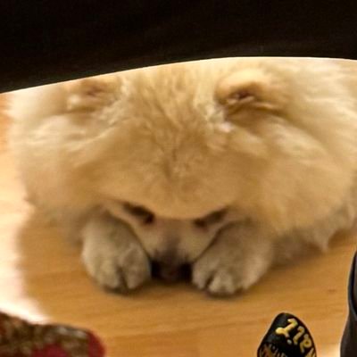 cskyekuppig's profile picture. 