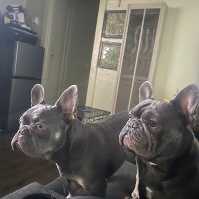 belasco_ailene's profile picture. USA, proud American