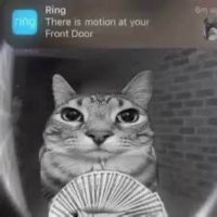 Trite (@tritewz) 's Twitter Profile Photo Trite (@tritewz) 's Twitter Profile Photo