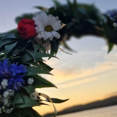 v_bellmier's profile picture. well well well if it isn't the truth....                                       
lgb without the tq+ 
In my twenties and it's not roaring