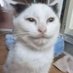 0tterzz (@0tterzz) Twitter profile photo 0tterzz (@0tterzz) Twitter profile photo