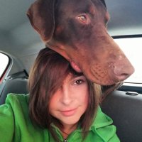 Ra (@rakorada) 's Twitter Profile Photo Ra (@rakorada) 's Twitter Profile Photo