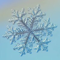 ❄️Lauty❄️ (@lautaroaco48468) 's Twitter Profile Photo ❄️Lauty❄️ (@lautaroaco48468) 's Twitter Profile Photo