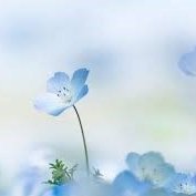 awjustdesigns's profile picture. Graphic Design.