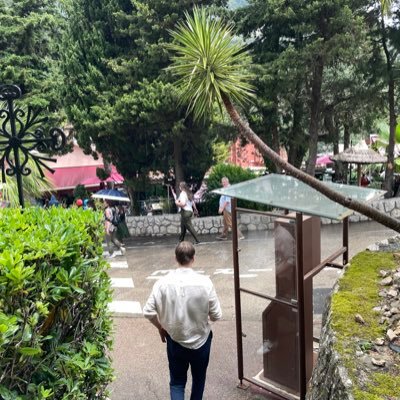 DVDCapitalist's profile picture. 