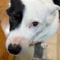 Huddle (@elizabethodr) 's Twitter Profile