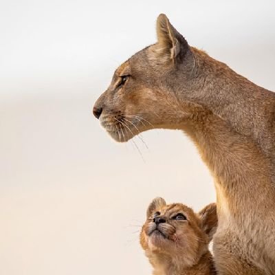 PiensaLibre84's profile picture. 