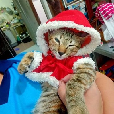 sit197808052521's profile picture. 