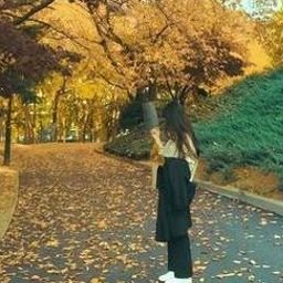 TheesesF56o13's profile picture. 