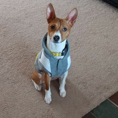 patty1033230's profile picture. 