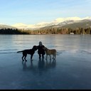 Marcel Cunningham - @Getbuzyliving - Twitter