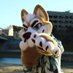 ベイリー Bailey (@husky_bailey) Twitter profile photo ベイリー Bailey (@husky_bailey) Twitter profile photo
