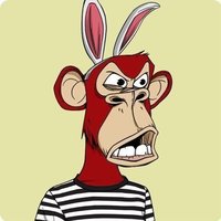 Bitcoin Gold Ape NFT⚡️ (@ape_bitcoi48169) 's Twitter Profile