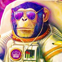 🦍MoonApeDegens🦍 (@moonapedegens) 's Twitter Profile