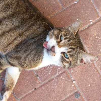 ofine04's profile picture. 