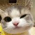 John (@rifty7890) Twitter profile photo John (@rifty7890) Twitter profile photo